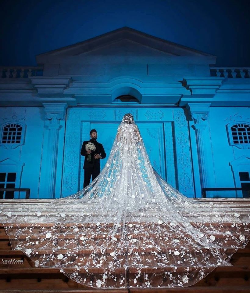 Modern V neck Long Wedding Dress with See through Long Train-showprettydress