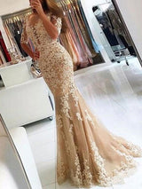 Charming Evening Dress Mermaid Illusion Neckline Lace Applique Formal Party Dresses With Train-showprettydress