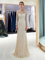 Charming Evening Dresses Long Sleeve Light Grey Mermaid Beading Illusion Luxury Formal Gowns-showprettydress