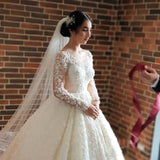 Elegant Long Princess Tulle Lace Wedding Dresses with Sleeves-showprettydress
