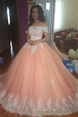 Elegant Off-the-Shoulder Appliques Ball Gown Tulle Sweep Train Prom Dresses-showprettydress