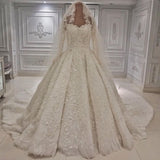 Expensive Lace Appliques Long Sleevess Ball Gown Wedding Dress-showprettydress