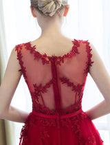 Glamorous Long Evening Dresses Lace Cameo Pink Party Dress A Line Applique Tulle Maxi Formal Dress-showprettydress
