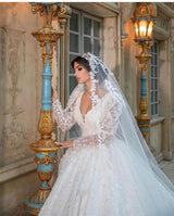 Gorgeous Long A-Line V-neck Appliques Lace Wedding Dress with Sleeves-showprettydress