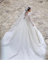 Gorgeous Long A-Line V-neck Appliques Lace Wedding Dress with Sleeves-showprettydress