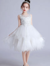 Jewel Neck Tulle Short Sleeves Short Princess Embroidered Kids Social Party Dresses-showprettydress