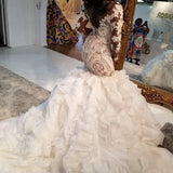 Mermaid Lace Appliques Tulle Wedding Dresses Long Sleevess Delicate Bridal Gowns-showprettydress