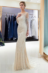 Mermaid Sequined Pattern Long Sleevess Evening Dresses-showprettydress