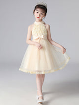 Pink Halter Neck Lace Sleeveless Short Princess Dress Bows Formal Kids Pageant flower girl dresses-showprettydress
