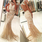 Sheath Round Collar Floor Length Backless Tulle Applique Evening Dress-showprettydress