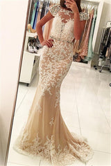Sheath Round Collar Floor Length Backless Tulle Applique Evening Dress-showprettydress
