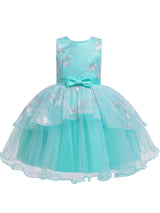 Sleeveless Tutu Gown Baby flower girl dresses-showprettydress